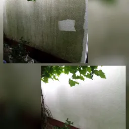 Fragment ściany elewacyjnej z widoczną różnicą w czystości: po lewej stronie zabrudzona zielonym nalotem, po prawej fragment wyczyszczony, z fragmentami roślin w tle.