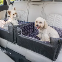 Dwa małe, białe pieski rasy Yorkshire Terrier i Maltańczyk siedzą w czarnych, skórzanych pokrowcach na tylnych siedzeniach samochodu w Stęszewie. Pokrowce mają wzór z napisem 'AMIBELLE'.