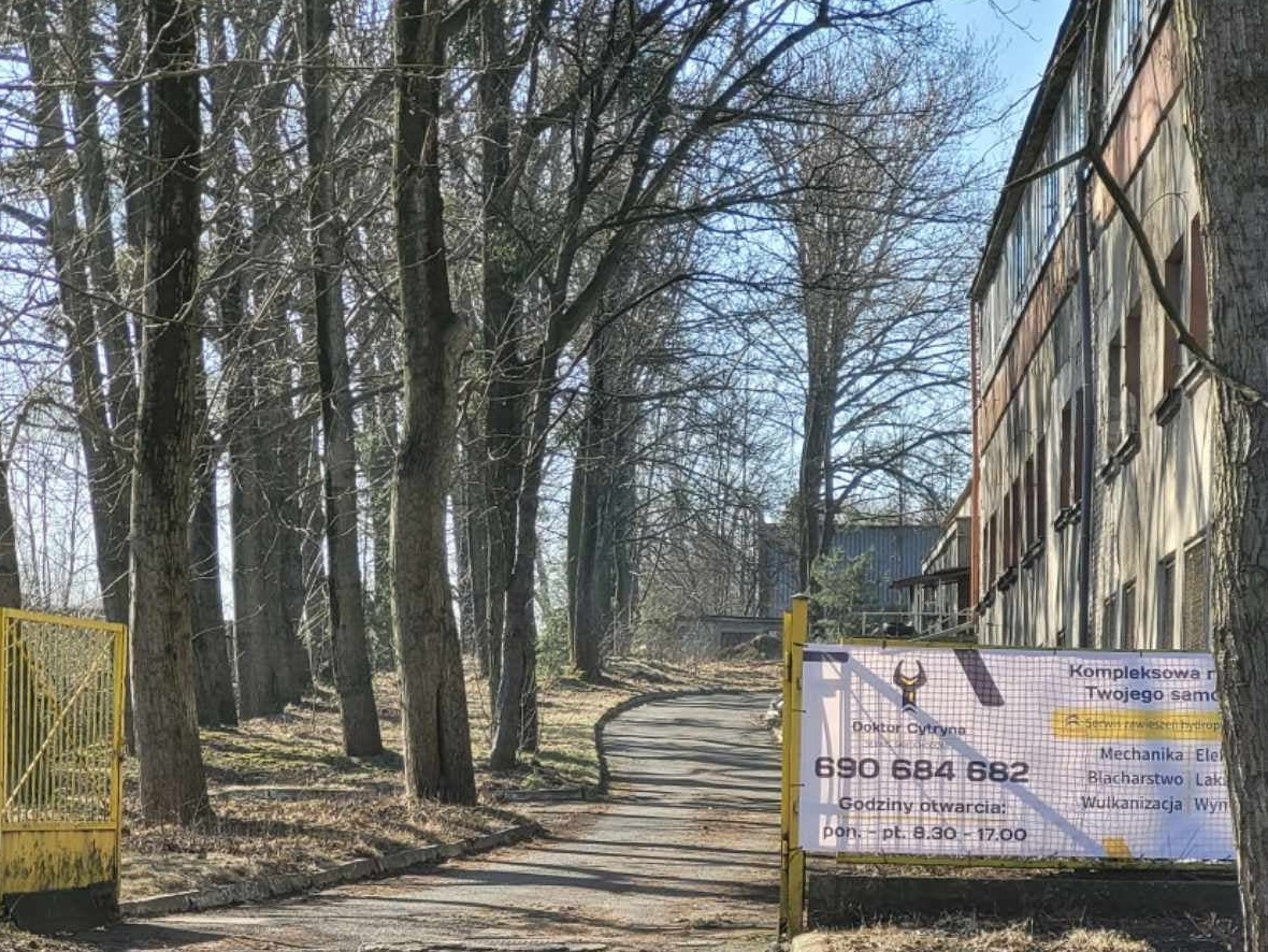 Tablica reklamowa warsztatu samochodowego 'Doktor Cytryna' z numerem telefonu i godzinami otwarcia, umieszczona przy wjeździe na teren warsztatu, widoczna z drogi wśród drzew.