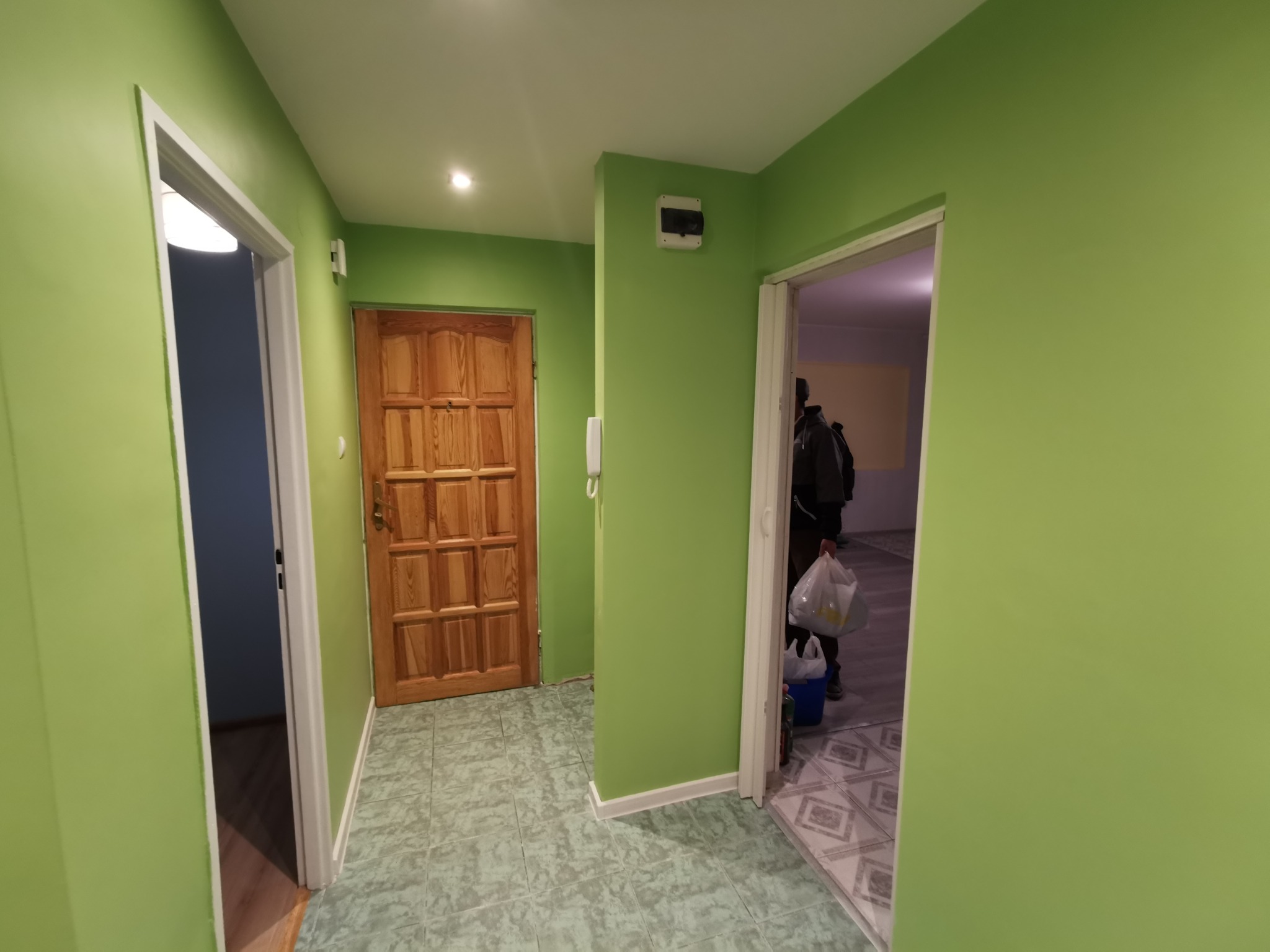 Korytarz w mieszkaniu z zielonymi ścianami, drewnianymi drzwiami i dwiema otwartymi przestrzeniami, w jednej z nich widoczna osoba z torbami.