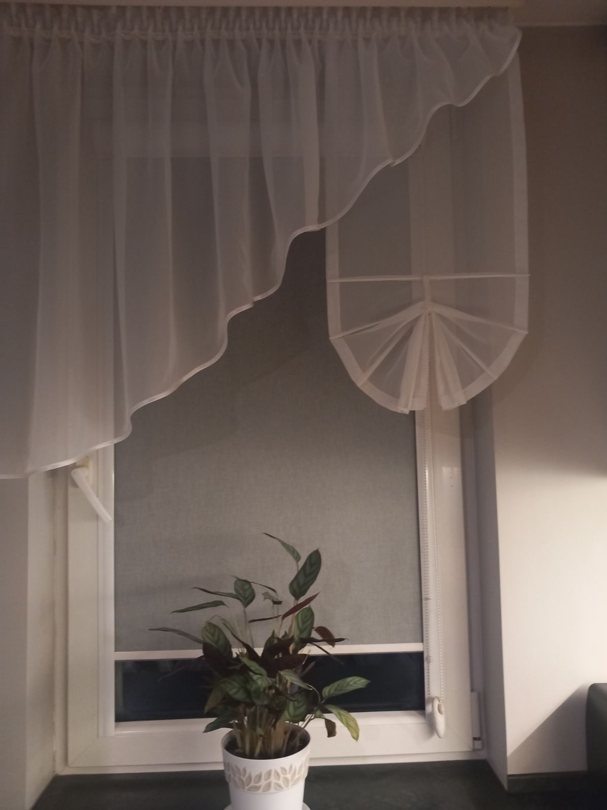 Delikatna, biała zasłona z woalu z falistym brzegiem i dekoracyjnym upięciem, zawieszona nad oknem z roletą, obok doniczka z rośliną.