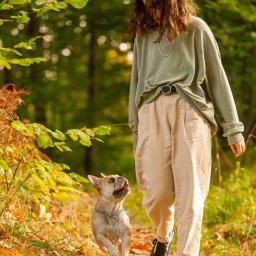 Wyprowadzanie psów Kraków 3