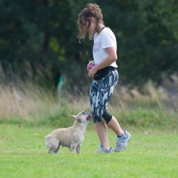 Wyprowadzanie psów Kraków 1