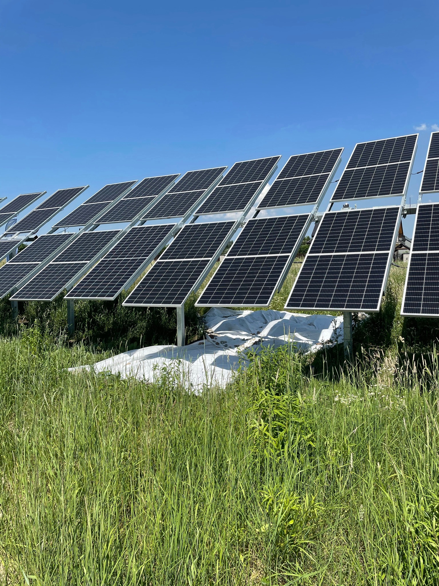 Rząd paneli słonecznych na metalowych konstrukcjach, częściowo przykrytych białą folią ochronną, otoczony wysoką trawą w słoneczny dzień.