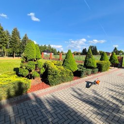 Usługi ogrodnicze - Zdobienie i formowanie krzewów