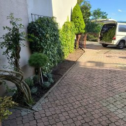 Usługi ogrodnicze - Płyta karton gips Gorlice