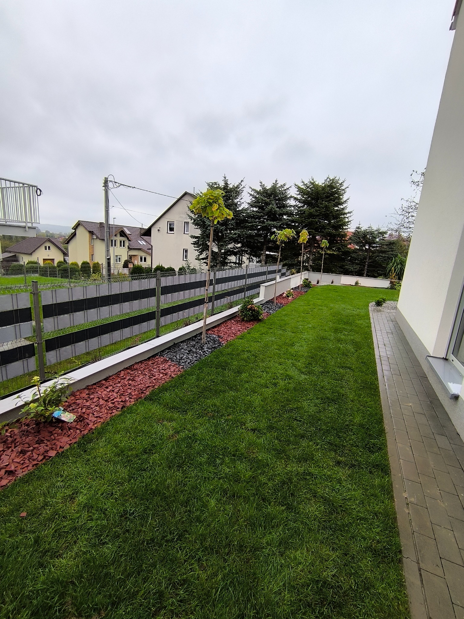 Zadbany ogród z równo przystrzyżonym trawnikiem, ozdobnymi kamieniami i korą, nowoczesnym ogrodzeniem panelowym oraz młodymi drzewkami. Widok z perspektywy.