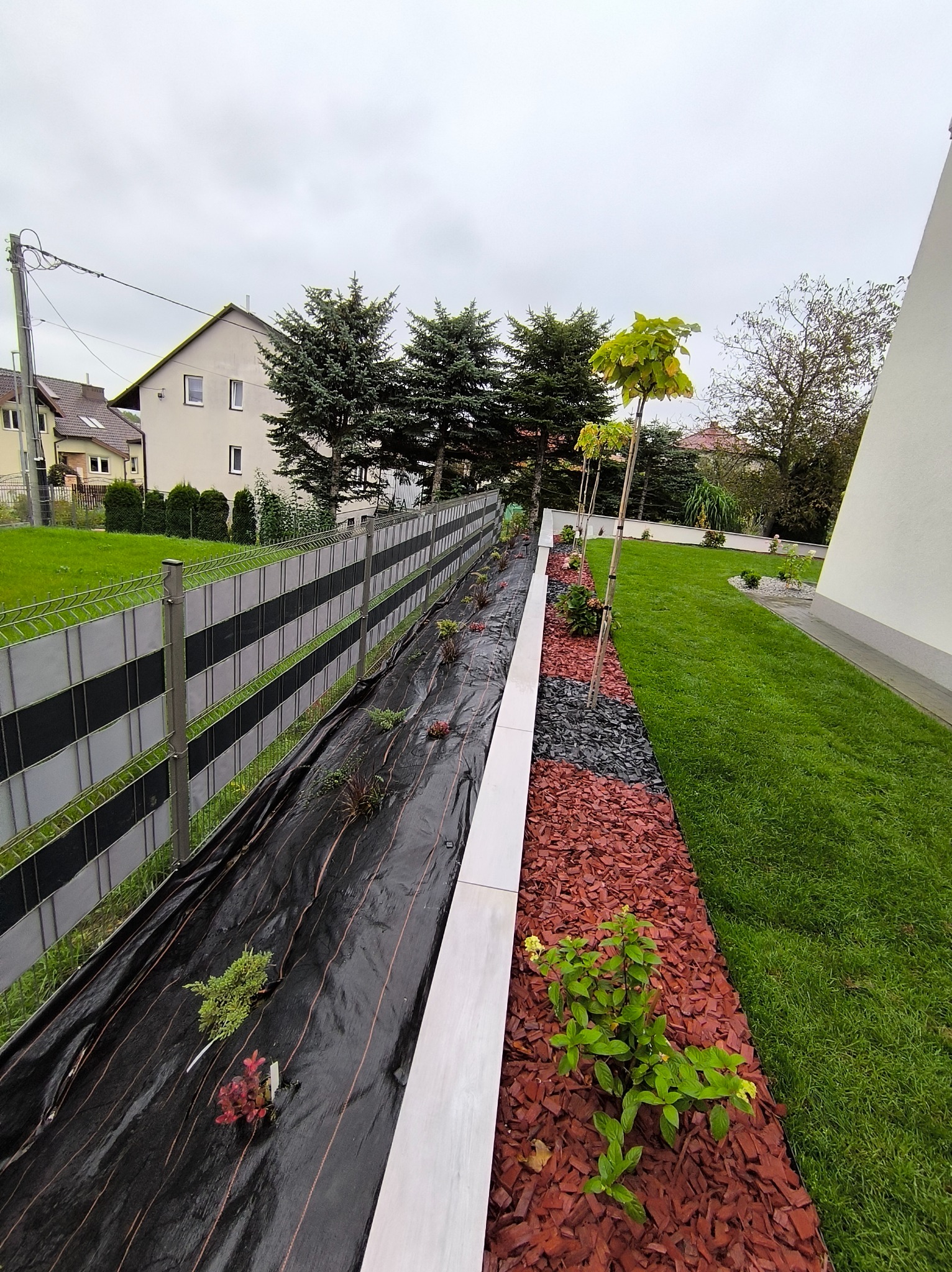 Nowoczesny ogród z geometrycznym układem rabat, wyłożonych korą i kamieniem, oddzielonych białym obrzeżem, z młodymi drzewkami i krzewami, widok z góry.