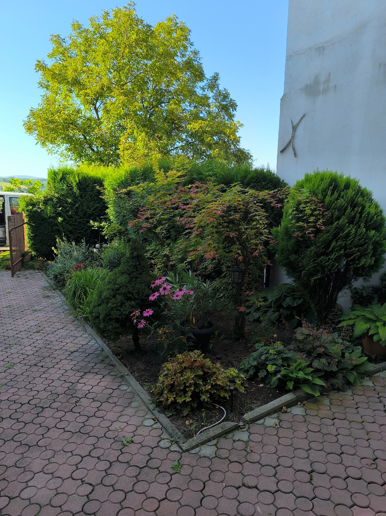 Kaskadowy ogród przydomowy z kwitnącymi roślinami, ozdobnymi krzewami i drzewami, wykończony kostką brukową. Widok na zadbany teren zielony.