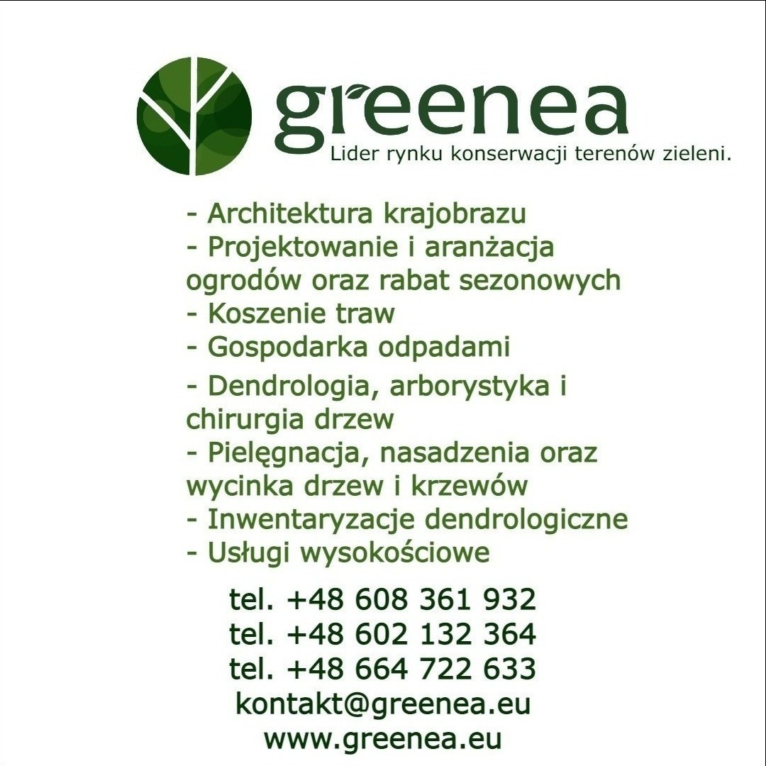Logo firmy Greenea, lidera w konserwacji terenów zieleni, prezentujące listę usług: architektura krajobrazu, projektowanie ogrodów, koszenie trawy, dendrologia, pielęgnacja drzew, inwentaryzacje...
