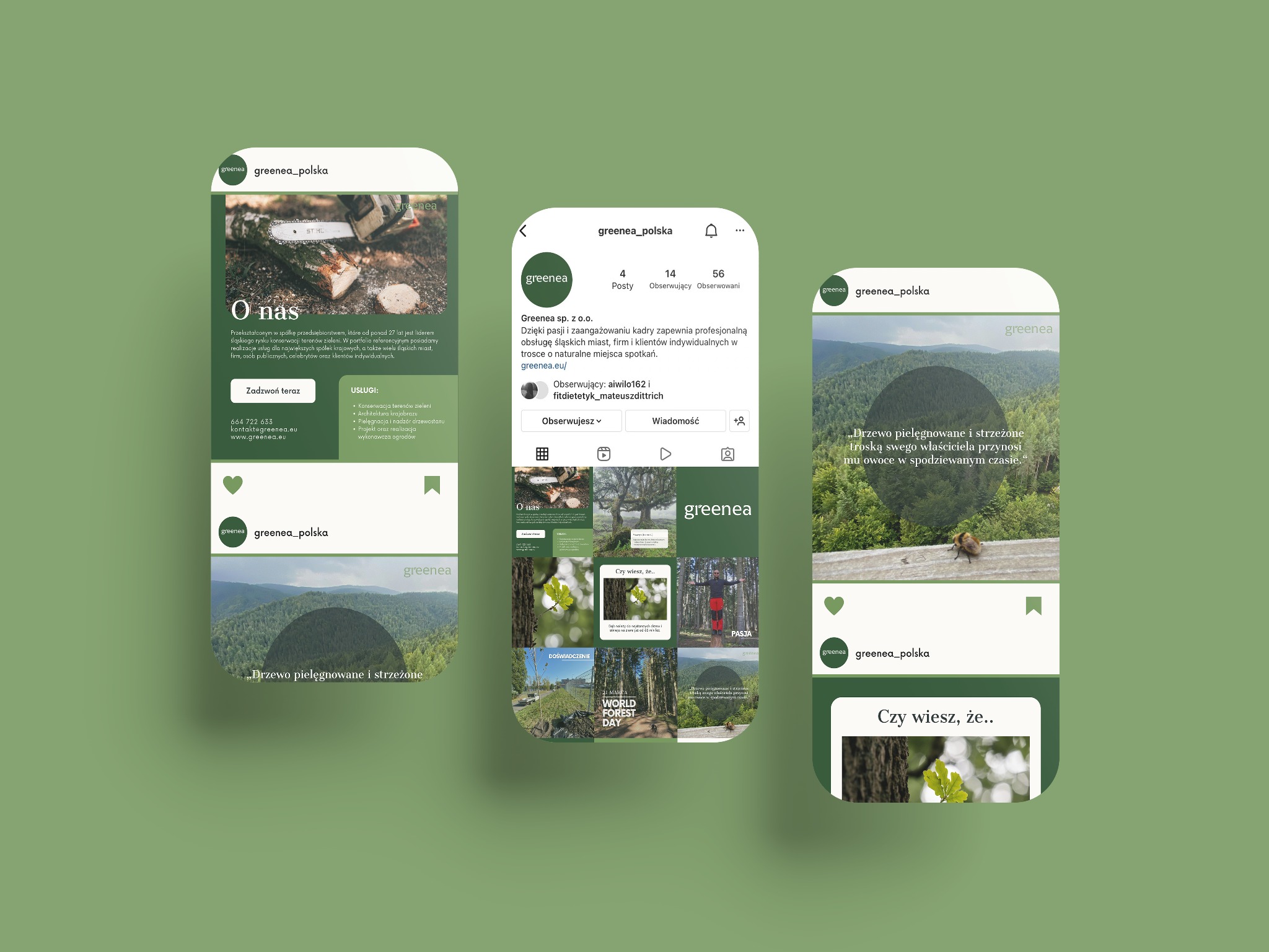 Zrzut ekranu profilu firmy Greenea_polska na Instagramie, prezentujący posty dotyczące pielęgnacji zieleni, w tym zdjęcie pnia drzewa ciętego piłą łańcuchową, widok lasu i grafiki związane z Dniem...