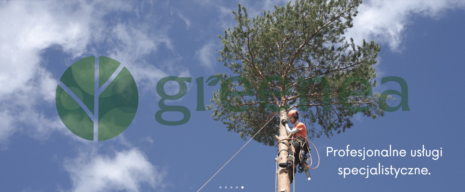 Arborysta w kasku i uprzęży, w trakcie przycinania korony wysokiej sosny, z widoczną piłą spalinową, na tle błękitnego nieba z chmurami i logotypem firmy.