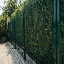 Metfence - Zielone ogrodzenie panelowe z siatki zgrzewanej, widok z perspektywy chodnika z kostki brukowej, tło stanowi gęsty żywopłot.