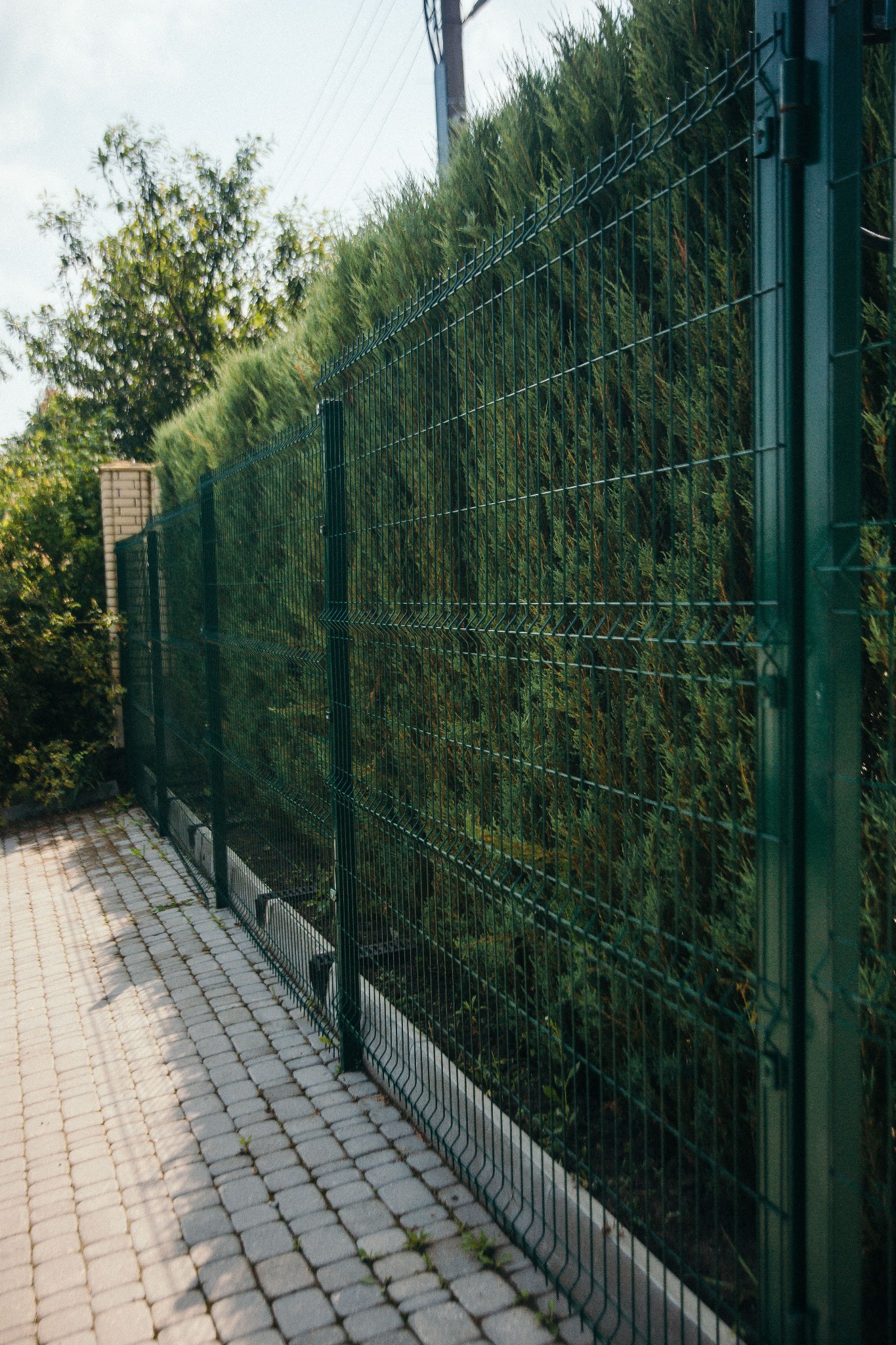 Zielone ogrodzenie panelowe z siatki zgrzewanej, widok z perspektywy chodnika z kostki brukowej, tło stanowi gęsty żywopłot.