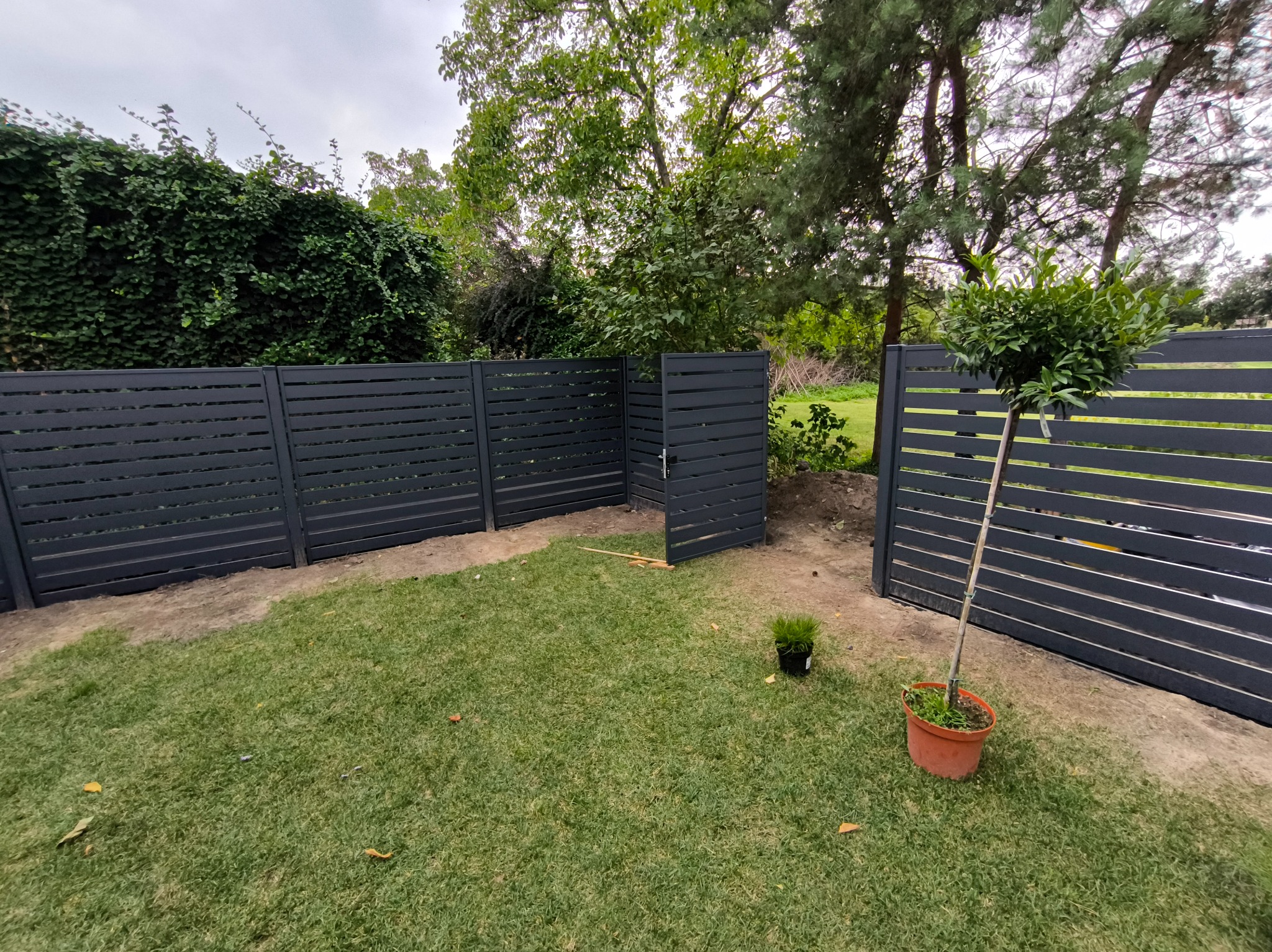 Nowoczesne, grafitowe ogrodzenie panelowe z furtką, otoczone zielonym trawnikiem i roślinnością. Dwa drzewka w donicach dodają naturalnego akcentu.