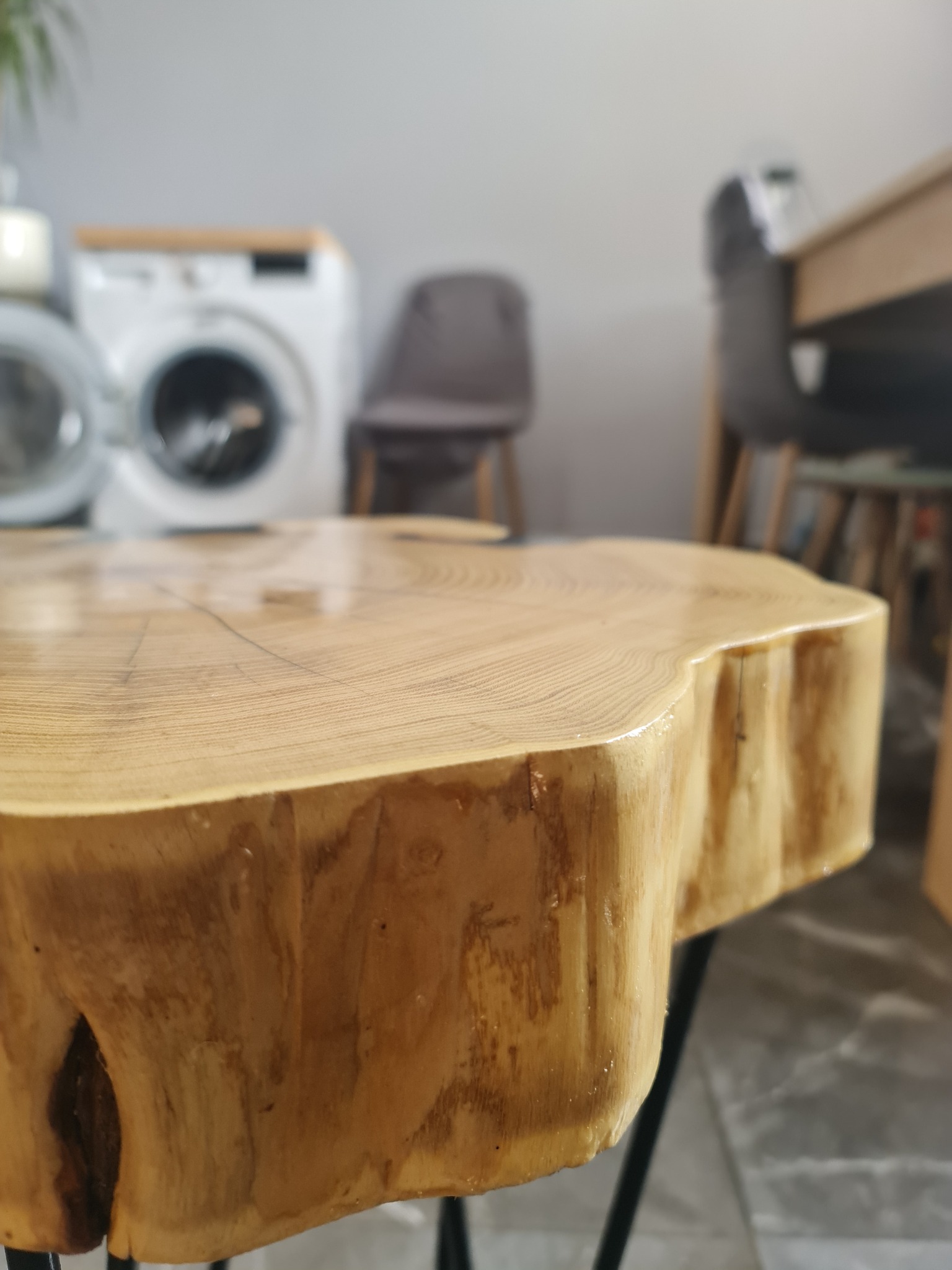 Blat drewniany z przekroju pnia na metalowych nóżkach, widoczne słoje i naturalne krawędzie, w tle pralka i krzesło.