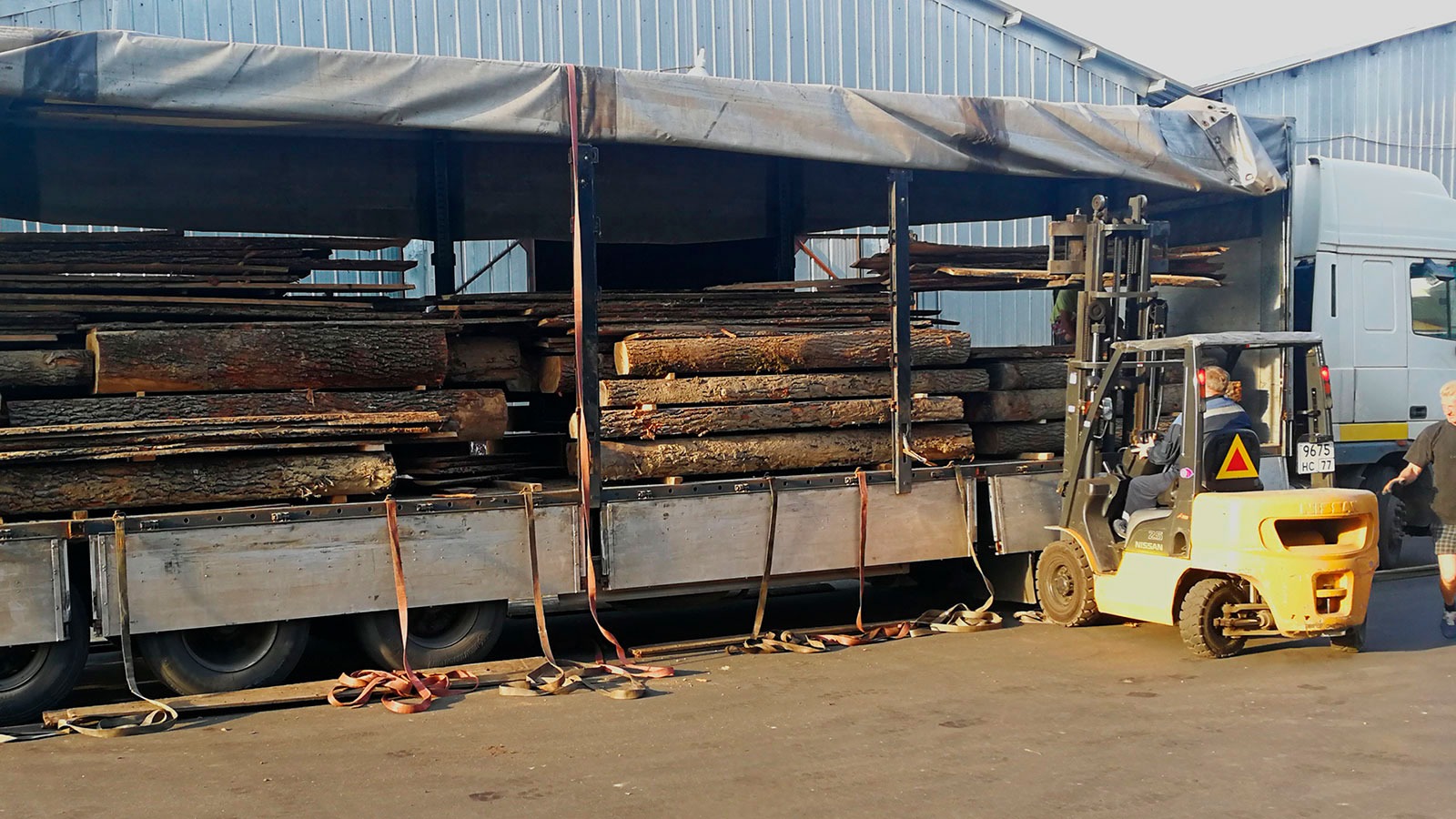 Żółty wózek widłowy załadowuje drewniane bale na ciężarówkę z plandeką, widoczny numer rejestracyjny wózka i fragment budynku w tle.