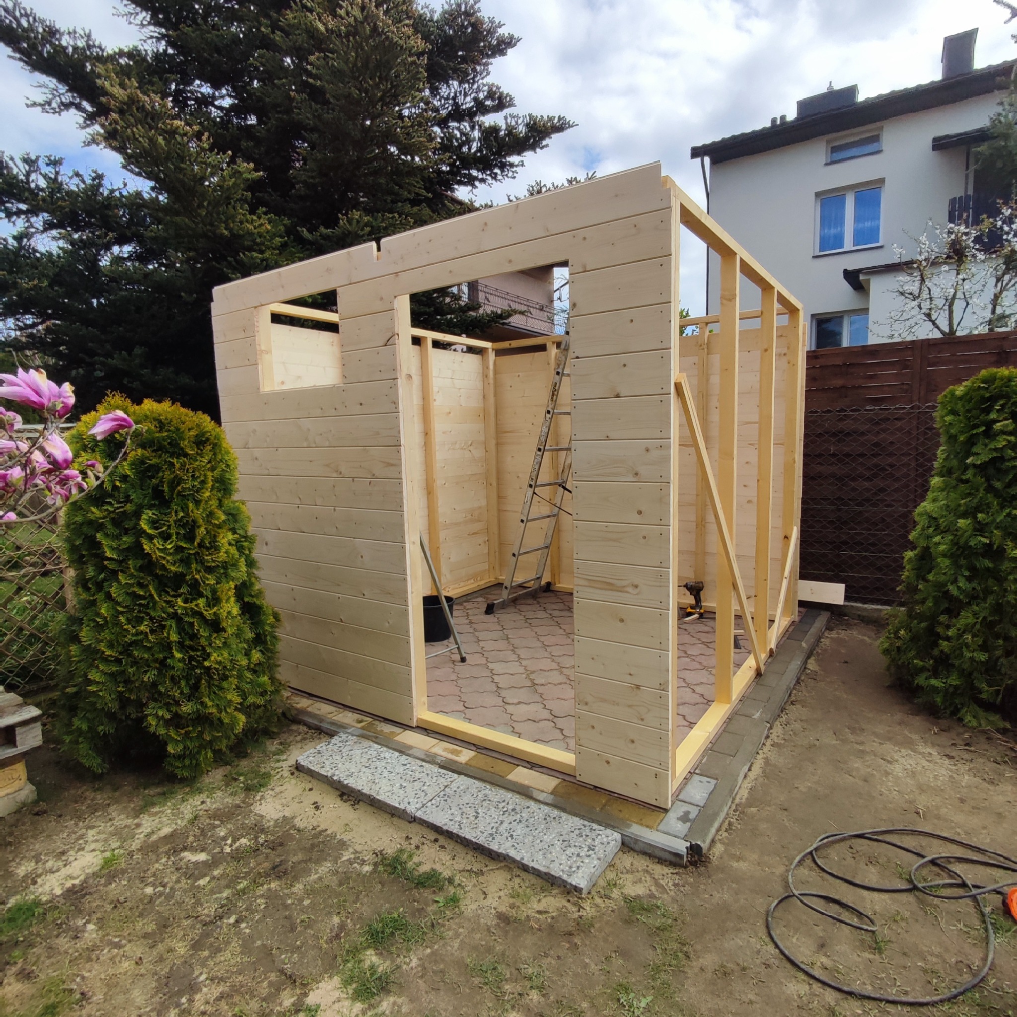 Drewniana konstrukcja altany w trakcie budowy, widoczne ściany z desek, drabina wewnątrz, narzędzia na zewnątrz, otoczenie zieleni z magnolią w tle.