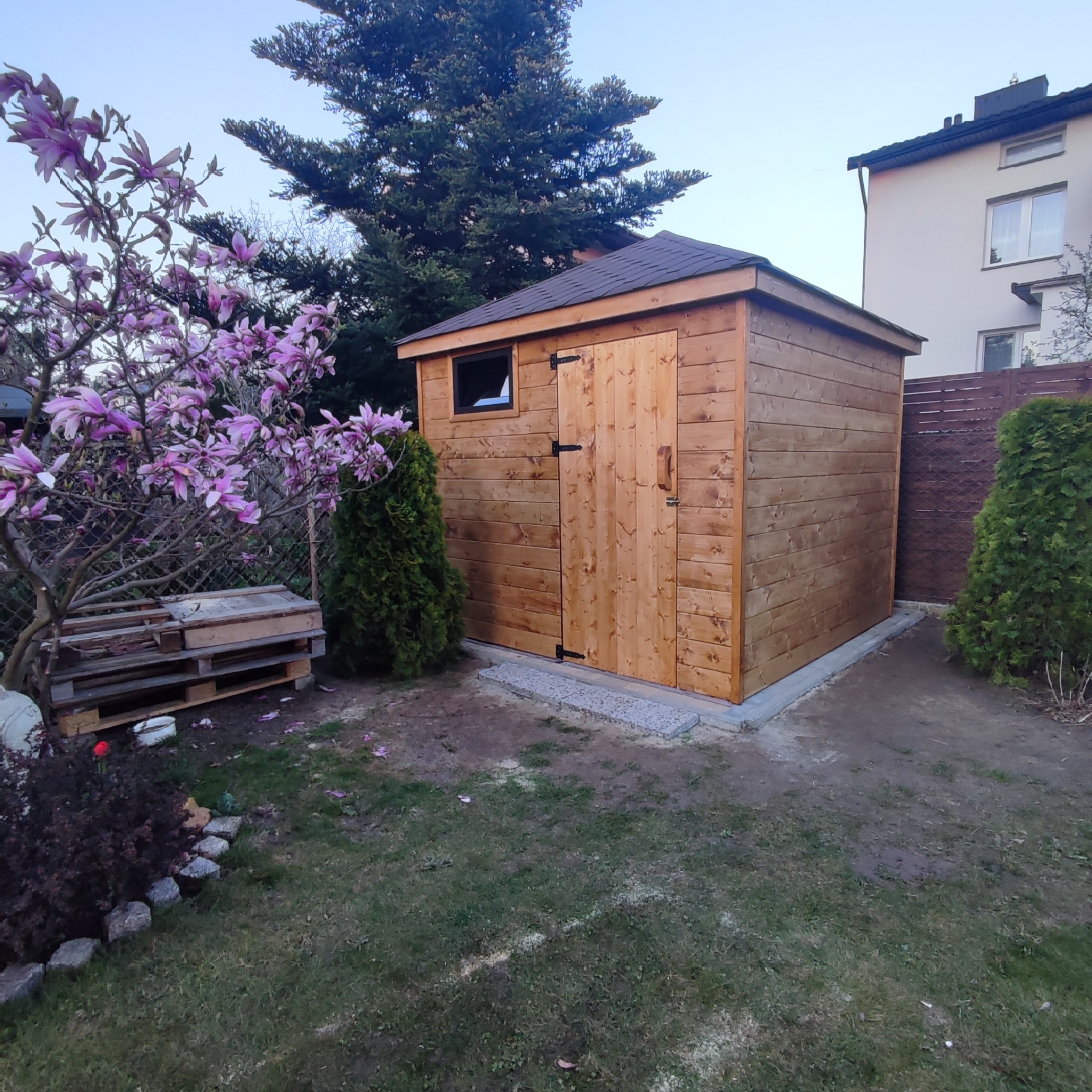 Drewniany domek narzędziowy z oknem i dwuskrzydłowymi drzwiami, umieszczony w ogrodzie z kwitnącą magnolią i tujami.