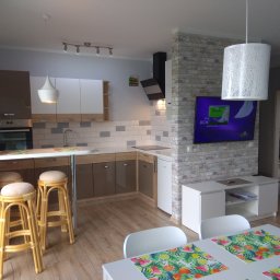 Remonty domów i kamienic Kraków 4