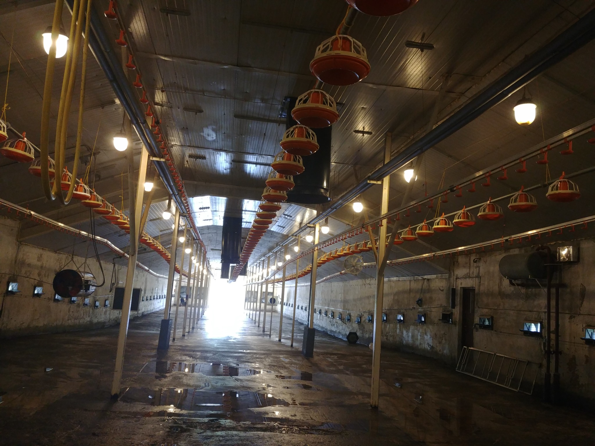 Wnętrze hali produkcyjnej w Częstochowie z systemem oświetlenia i wentylacji pod sufitem oraz mokrą posadzką.