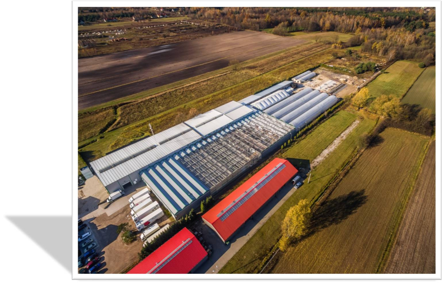 Widok z lotu ptaka na kompleks magazynowo-produkcyjny z halami, magazynami i szklarniami, otoczony polami uprawnymi i drzewami w jesiennych barwach, z zaparkowanymi samochodami i ciężarówkami.
