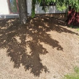 Wycinka drzew Zielonki 4