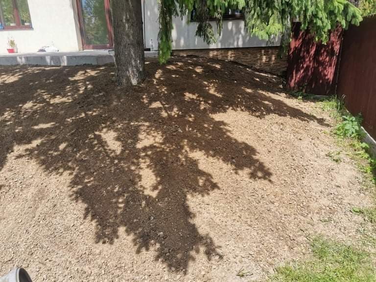 Przygotowany teren pod trawnik, wyrównana ziemia pod drzewem, cień gałęzi na powierzchni, dom w tle.