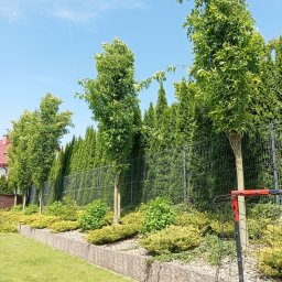 Pielęgnacja ogrodów Strzyżów 4