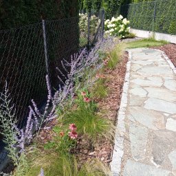 Twoj ogrod - Usługi w ogrodzie Strzyż&oacute;w