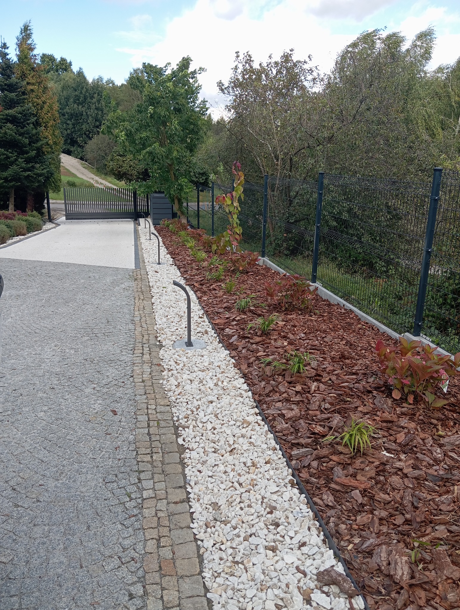 Ogród z podświetlanym chodnikiem z białych kamieni, rabatą z korą i młodymi roślinami wzdłuż ogrodzenia. Widok na bramę wjazdową i zieleń w tle.