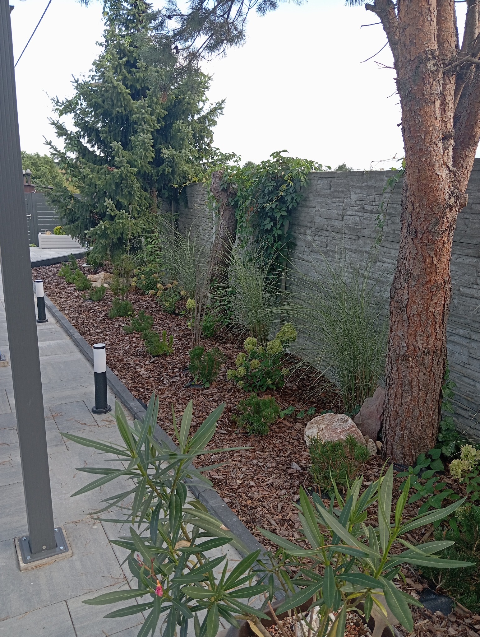 Aranżacja ogrodu z korą, iglakami i trawami ozdobnymi wzdłuż kamiennego muru. Oświetlenie rabat lampami ogrodowymi. Elementy architektury ogrodowej.