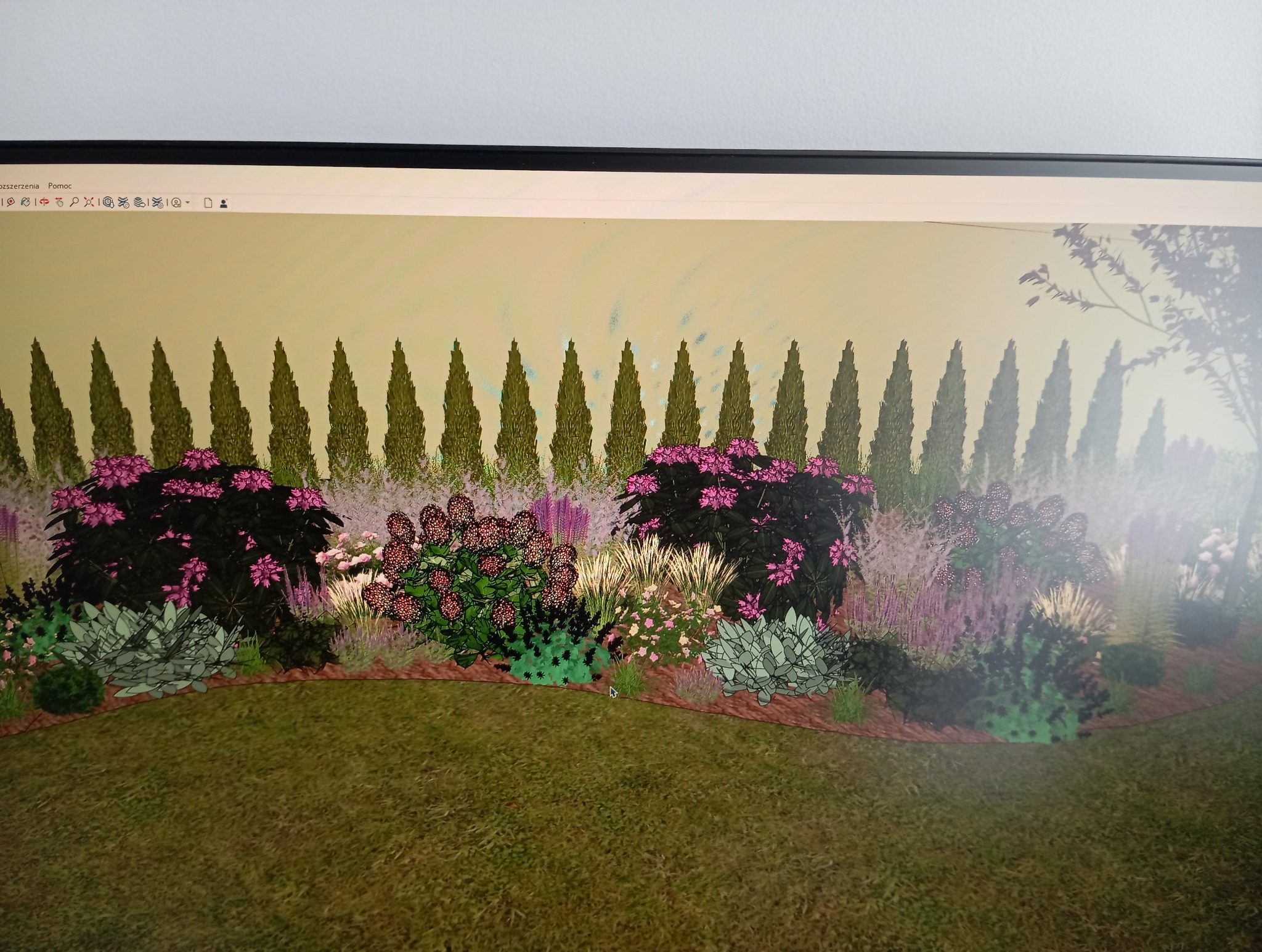 Projekt ogrodu widoczny na ekranie monitora. Wizualizacja rabaty z różnorodnymi roślinami, drzewami iglastymi i trawami ozdobnymi. Widoczny kursor myszy.