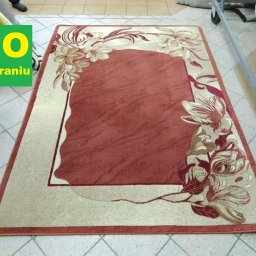Pranie dywanów Nowa Sarzyna 4