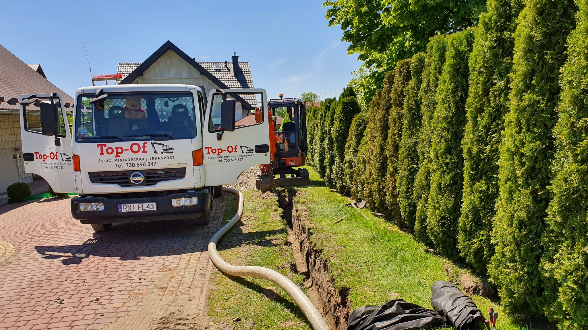 Mini koparka w trakcie wykonywania wąskiego wykopu wzdłuż rzędu tuj, biała ciężarówka z logo firmy Top-Of zaparkowana obok, widoczny wąż ssący.