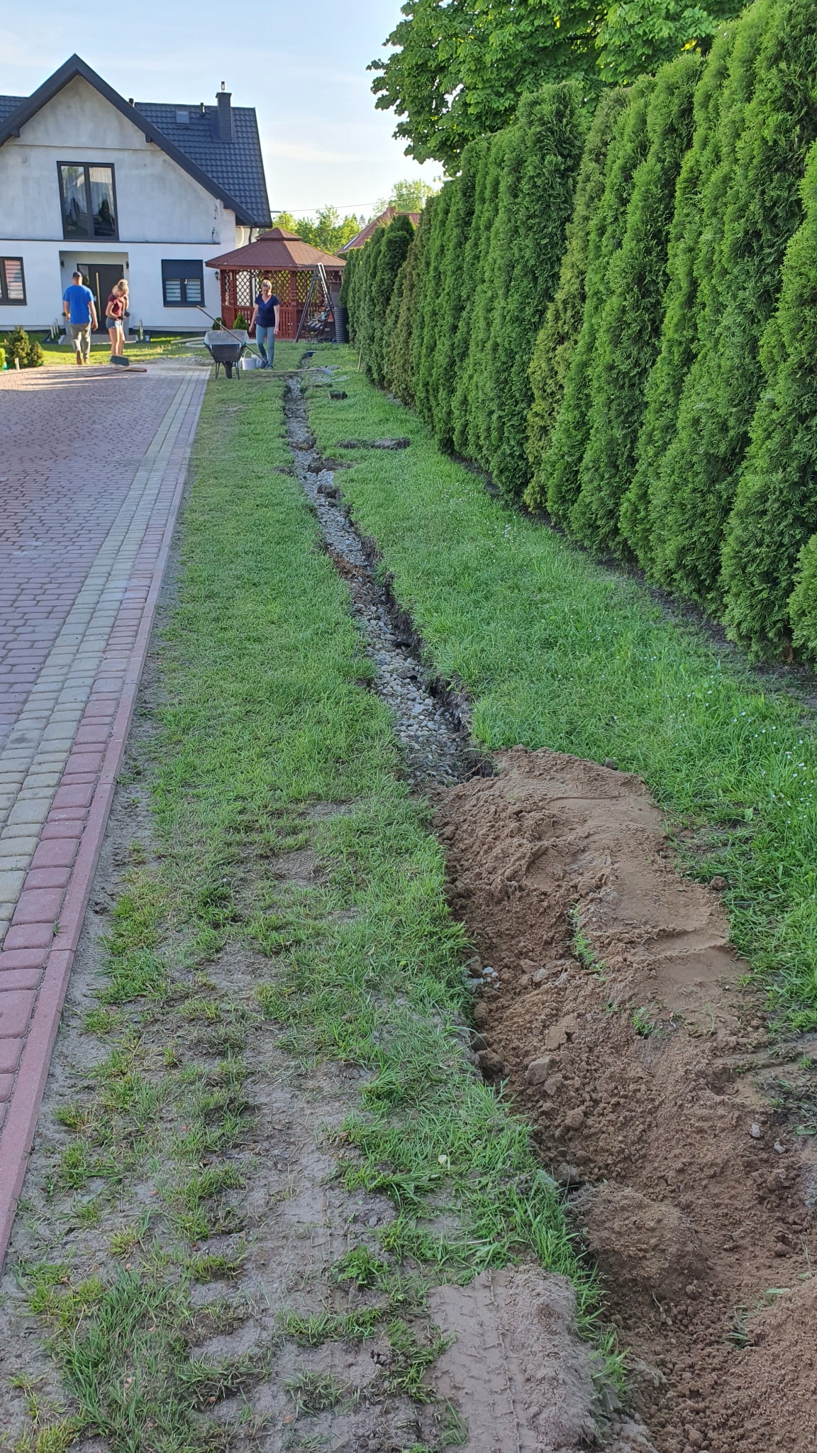 Wykopany wąski rów wypełniony kamieniami na trawniku wzdłuż tujowego żywopłotu, świeżo usypana ziemia obok, w tle osoby i dom.