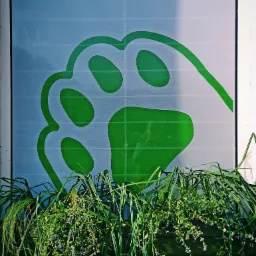 Zielony nadruk psiej łapy na oknie, częściowo zasłonięty przez rośliny w doniczce.