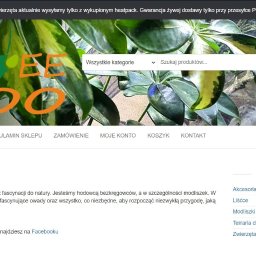 YOVEE Jowita Jakubisiak - Strona internetowa sklepu internetowego Yovee Zoo z ofertą hodowli bezkręgowców i modliszek, widoczny pasek wyszukiwania, menu nawigacyjne i kategorie produktów.