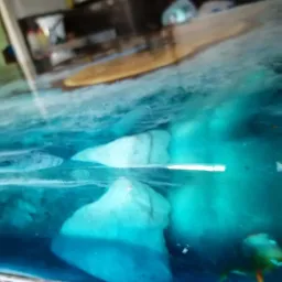 Stolik kawowy z blatem z żywicy epoksydowej imitującym podwodny krajobraz z zatopionymi elementami przypominającymi skały i rośliny, w tle fragment wyposażenia wnętrza.