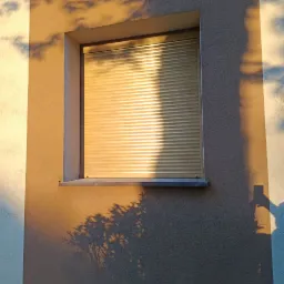 Zamknięta roleta zewnętrzna w oknie budynku, oświetlona ciepłym, popołudniowym światłem, rzucająca cień drzewa na elewację.