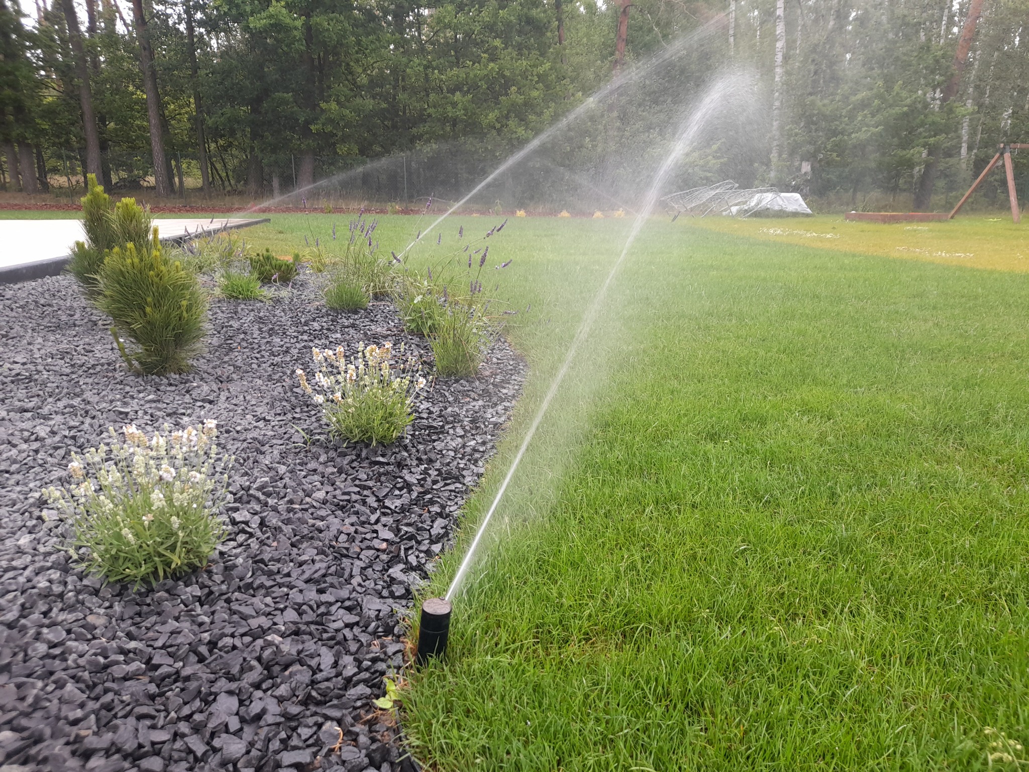 Montujemy głównie zraszacze firm: HUNTER oraz Rain Bird