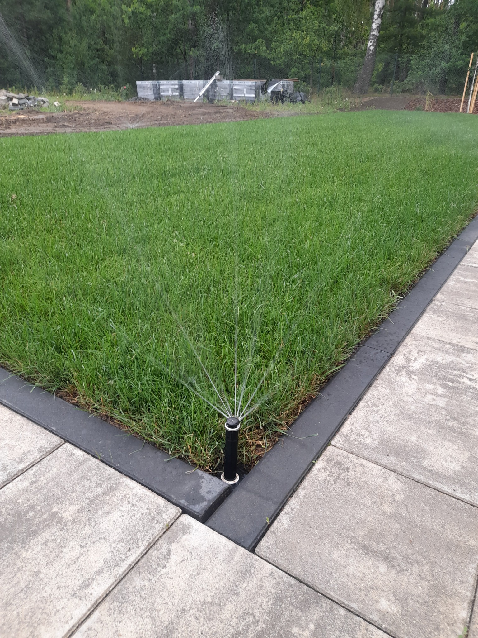 Zraszacze HUNTER oraz trawa z rolki