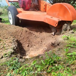 ArborosaTech - Pomarańczowa frezarka do pni w trakcie pracy, widoczny wykopany dół po usuniętym pniu, z ziemią i resztkami korzeni.