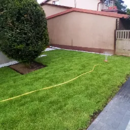 Świeżo założony trawnik z rolki, nawadniany zraszaczem, obrzeża z białego kamienia i kostki brukowej, widok z góry.