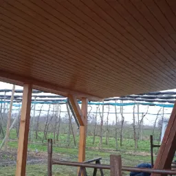 Zadaszenie z drewnianą boazerią, widok z dołu na konstrukcję z drewnianych belek i słupów, w tle sad z siatką ochronną i fragment ściany z cegły ceramicznej.