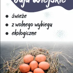 Zapraszm do współpracy.