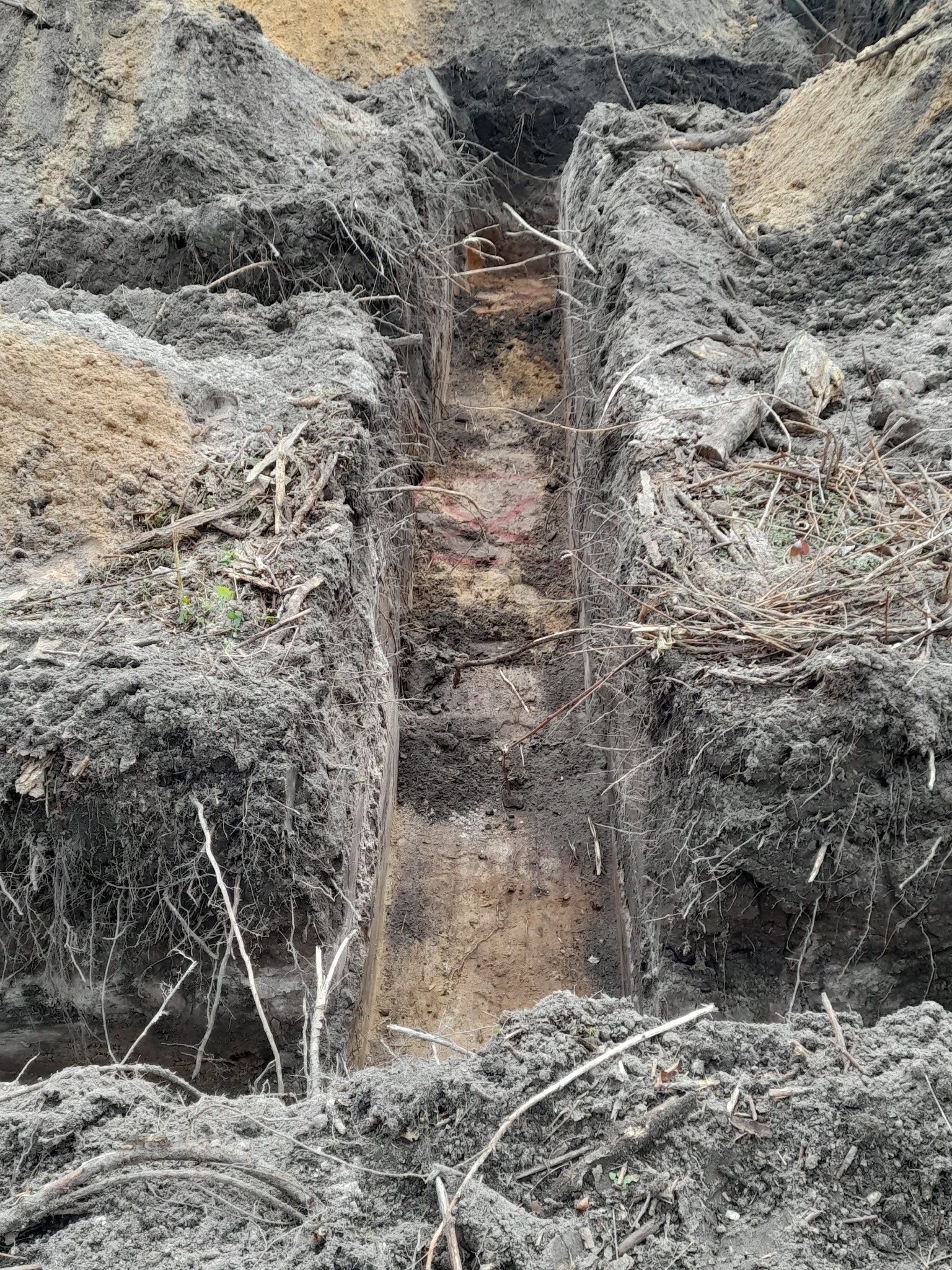 Wąski wykop w ziemi z widocznymi korzeniami i gałązkami na krawędziach, ukazujący warstwy gleby o różnej barwie.