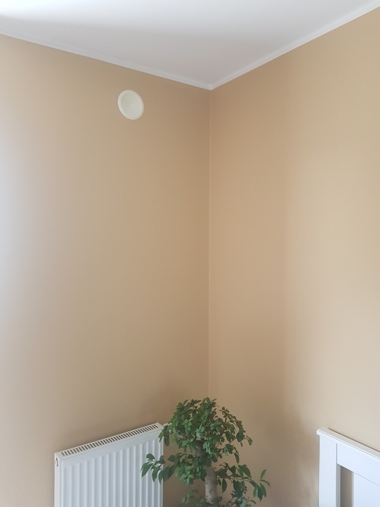 Beżowe ściany w rogu pokoju z białym sufitem, kratką wentylacyjną, grzejnikiem i małym drzewkiem doniczkowym.