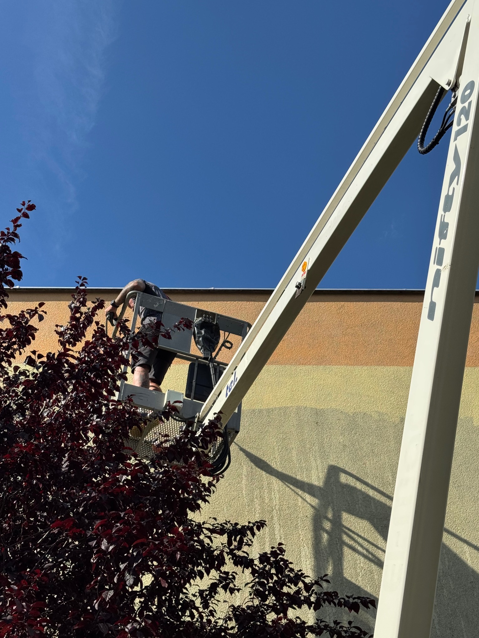 Pracownik na podnośniku koszowym czyści elewację budynku o pastelowych pasach, widok z dołu, z krzewem o bordowych liściach w kadrze.
