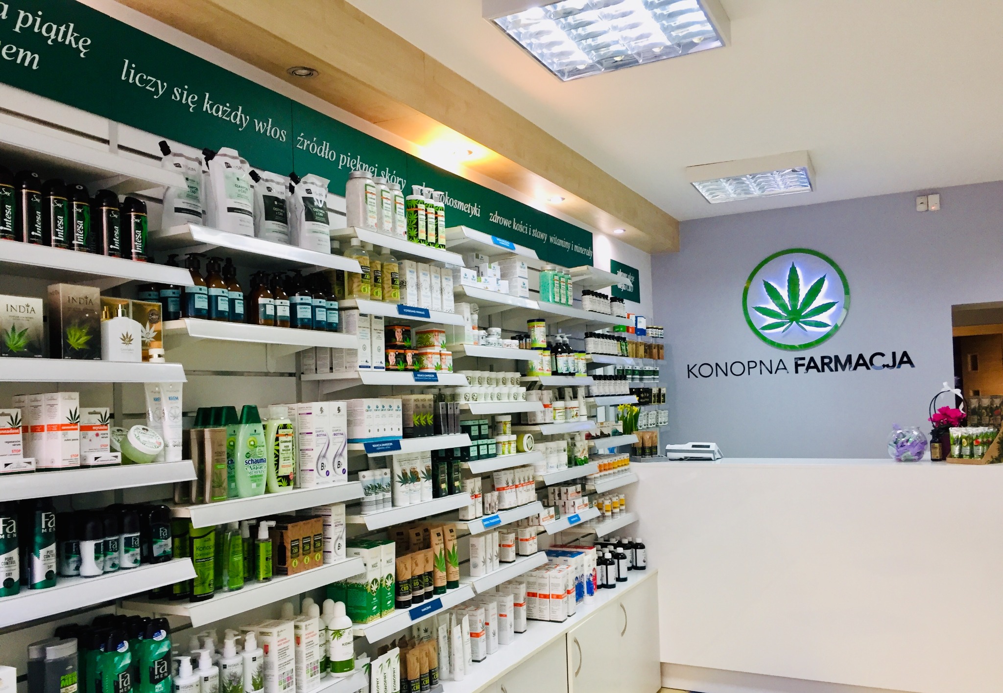 Wnętrze sklepu Konopna Farmacja: półki z kosmetykami i produktami konopnymi, logo z liściem konopi na ścianie za ladą, jasne oświetlenie.